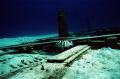   AloneThis was taken just off coast Nassau about 45 ft. Nik V. 20mm. Lens Nikonos SB105 strobe. This my first attempt shooting underwater. respect wreck interesting see what time has done. ft 20mm strobe underwater done  